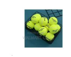 Premium Practice Tennis Ball Set
