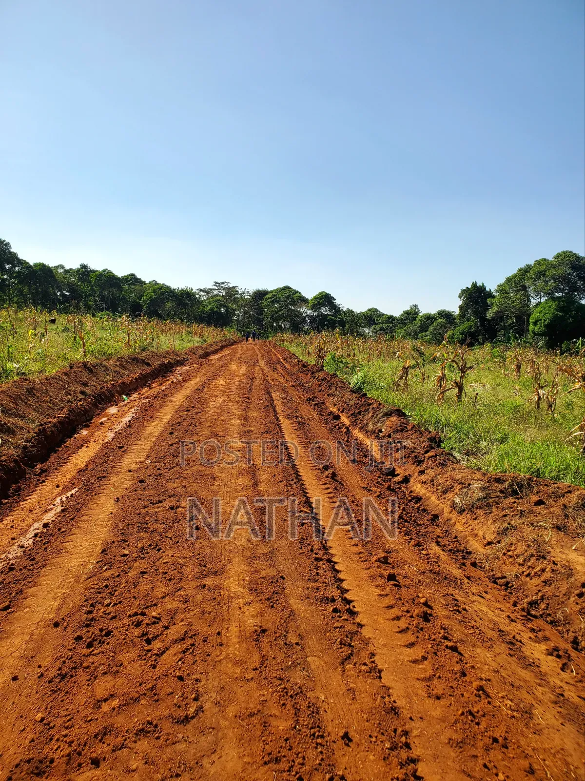 Ntadika Omwaka Mu Style Ne Century Property Real Estate (U)Ltd