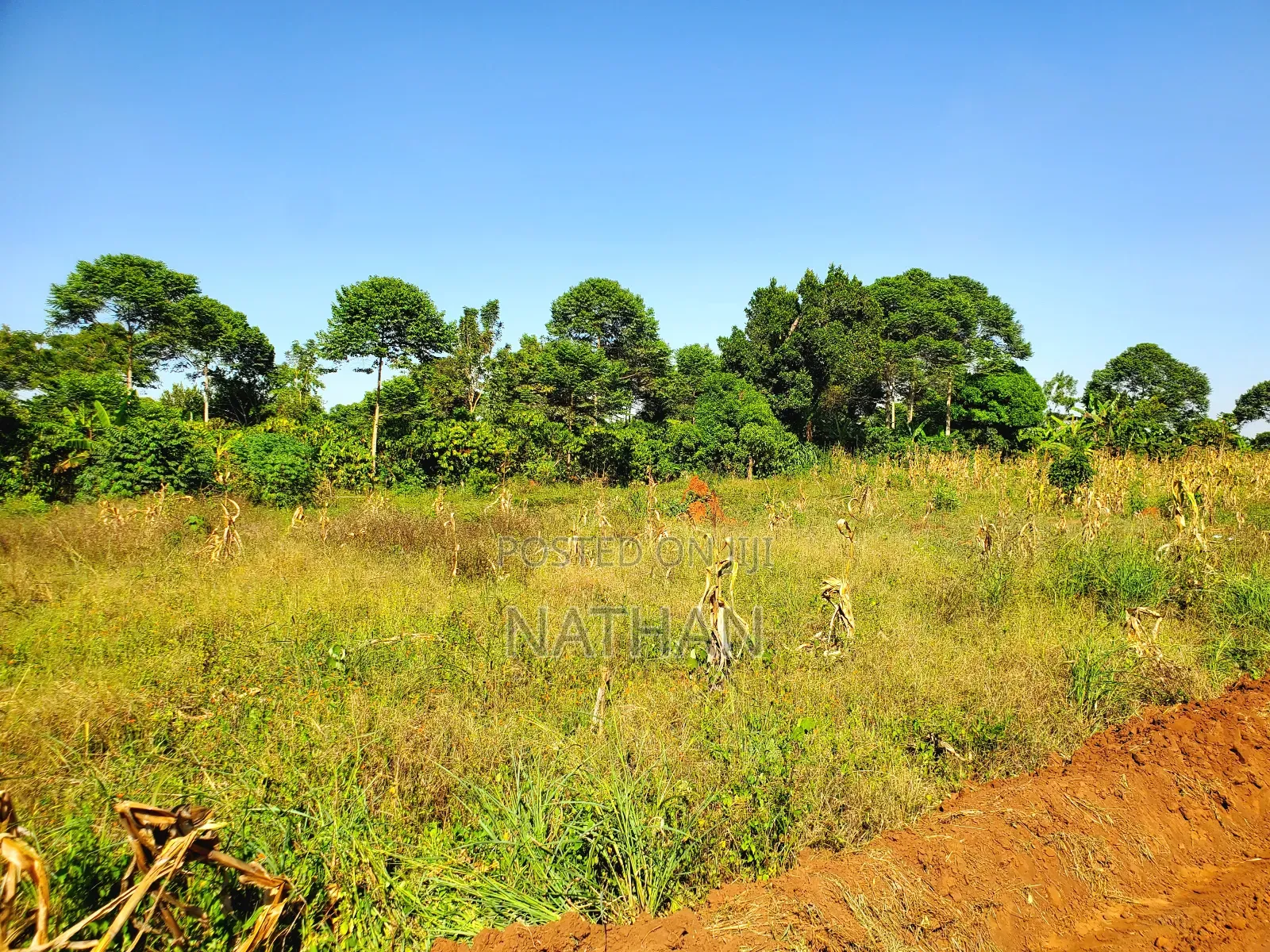 Ntadika Omwaka Mu Style Ne Century Property Real Estate (U)Ltd