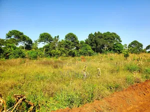 Ntadika Omwaka Mu Style Ne Century Property Real Estate (U)Ltd