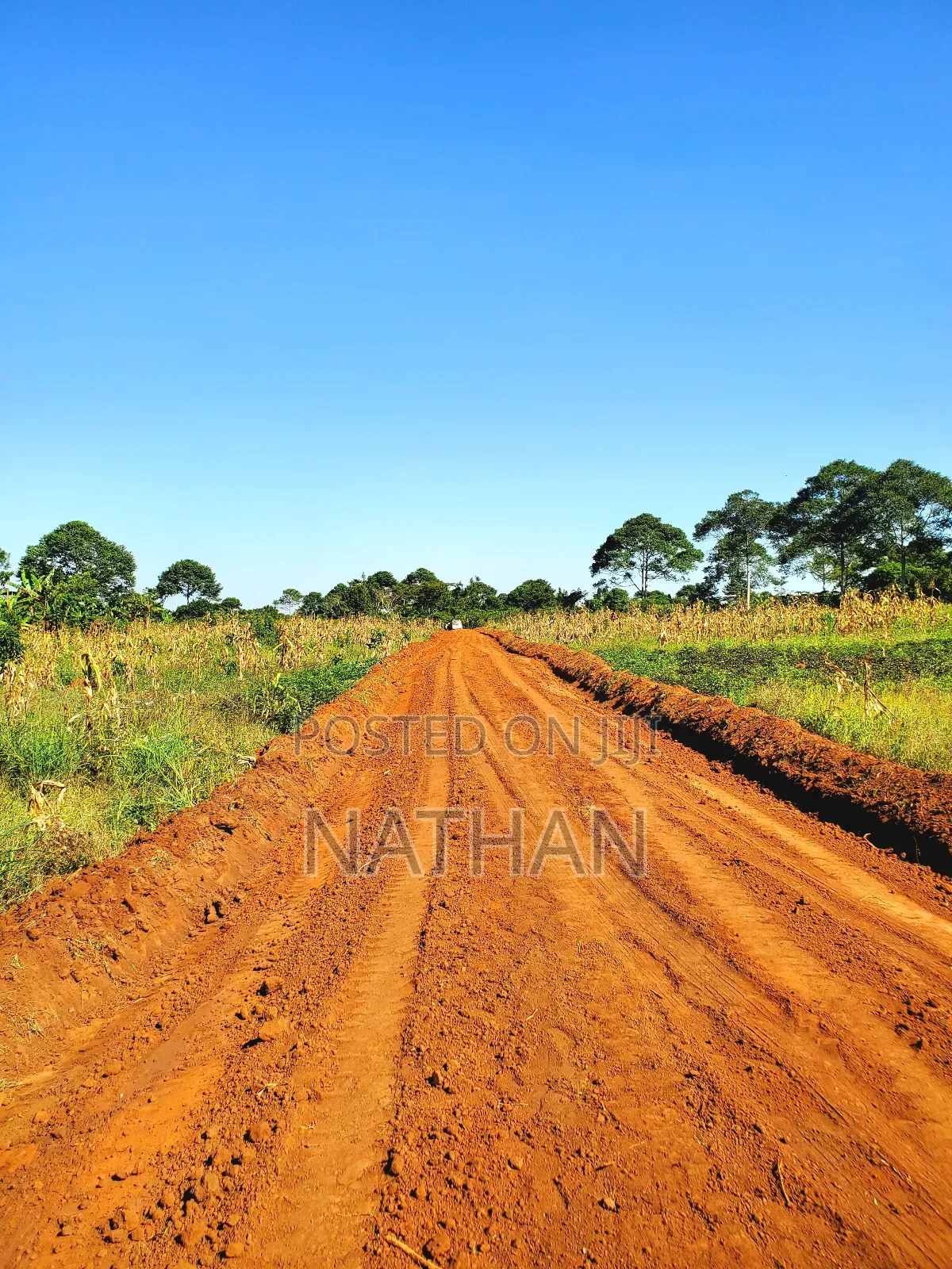 Ntadika Omwaka Mu Style Ne Century Property Real Estate (U)Ltd