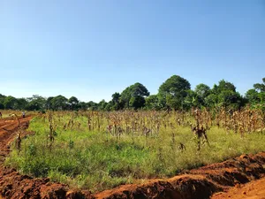 Ntadika Omwaka Mu Style Ne Century Property Real Estate (U)Ltd
