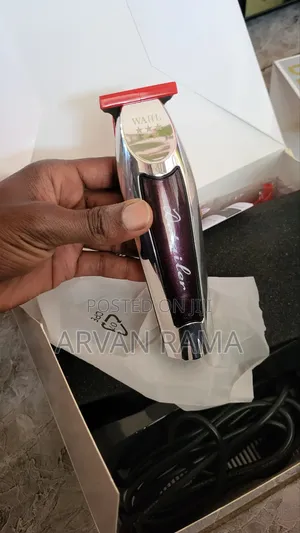Wahl Detailer