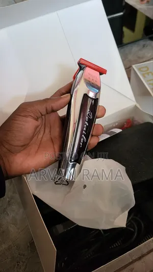 Wahl Detailer