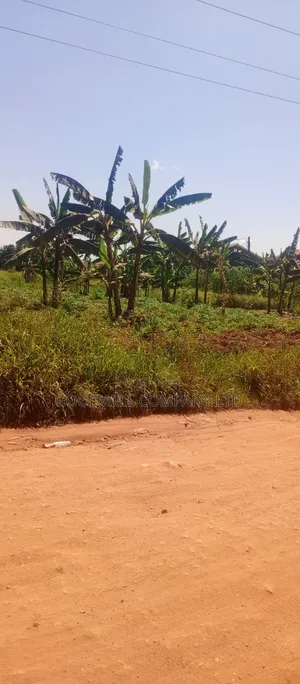1 Acre Commercial Land in Jinja Misindye After Namugongo