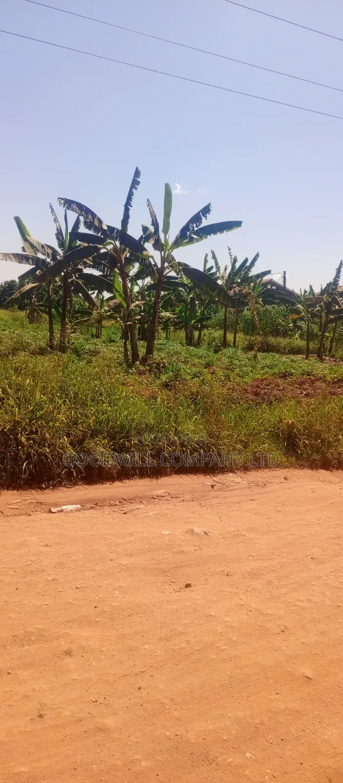1 Acre Commercial Land in Jinja Misindye After Namugongo