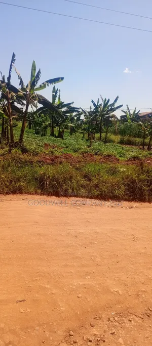 1 Acre Commercial Land in Jinja Misindye After Namugongo