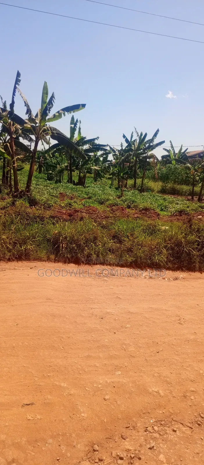 1 Acre Commercial Land in Jinja Misindye After Namugongo