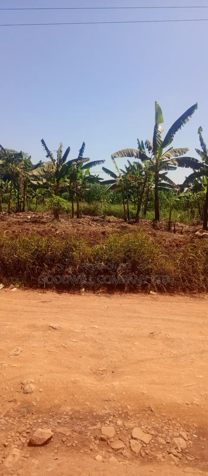 1 Acre Commercial Land in Jinja Misindye After Namugongo