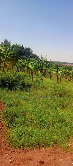 50*100 Plots of Land in Jinja Misindye Namugongo