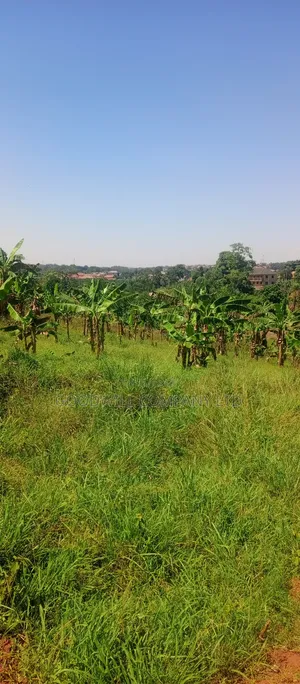 50*100 Plots of Land in Jinja Misindye Namugongo