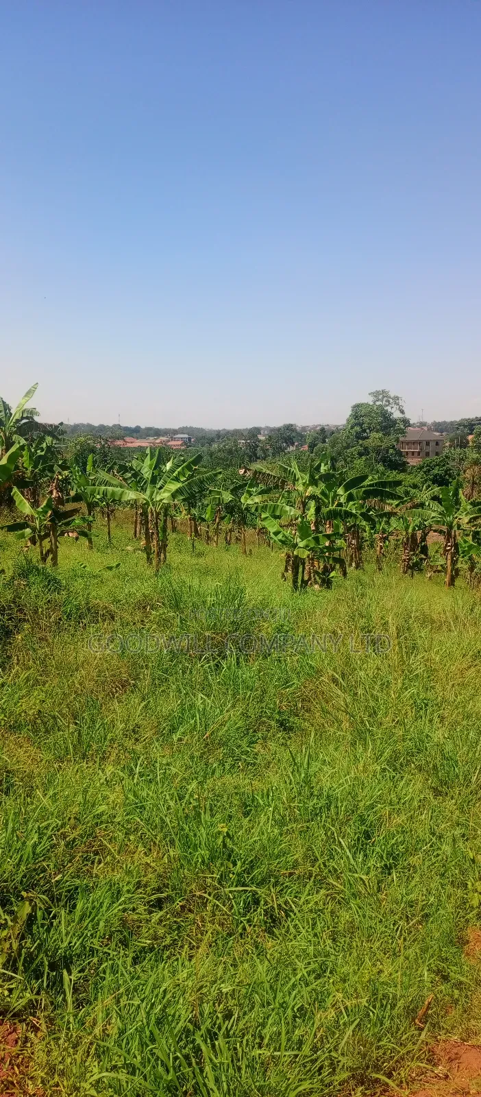 50*100 Plots of Land in Jinja Misindye Namugongo