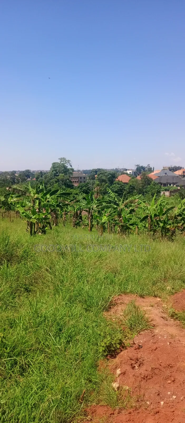 50*100 Plots of Land in Jinja Misindye Namugongo