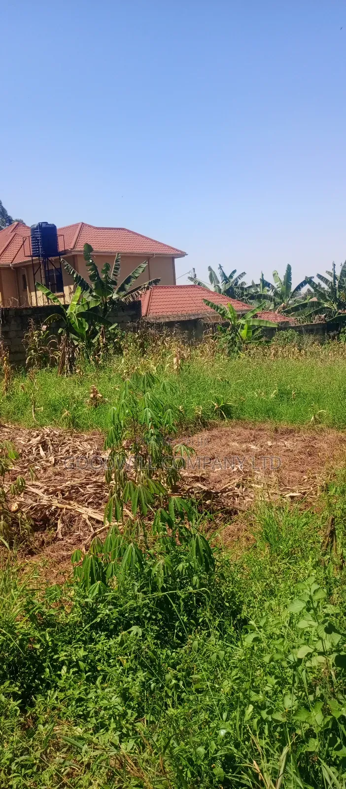 100*100 Plot of Land in Jinja Misindye Namugongo