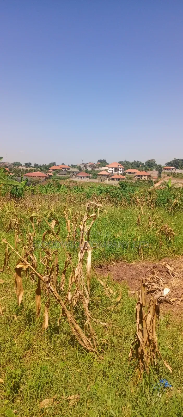100*100 Plot of Land in Jinja Misindye Namugongo