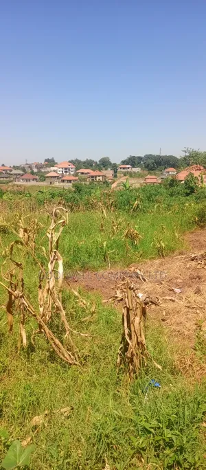 100*100 Plot of Land in Jinja Misindye Namugongo