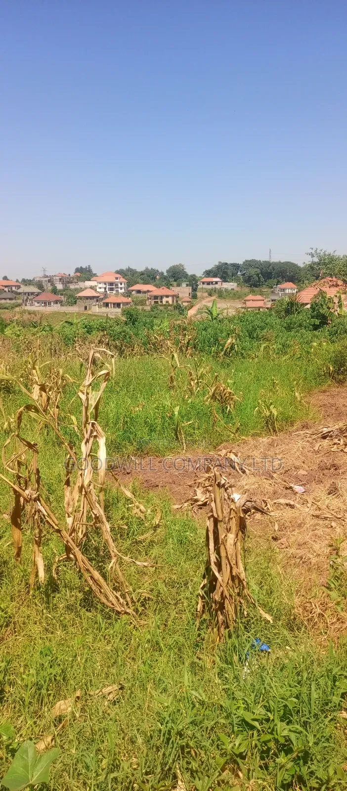 100*100 Plot of Land in Jinja Misindye Namugongo