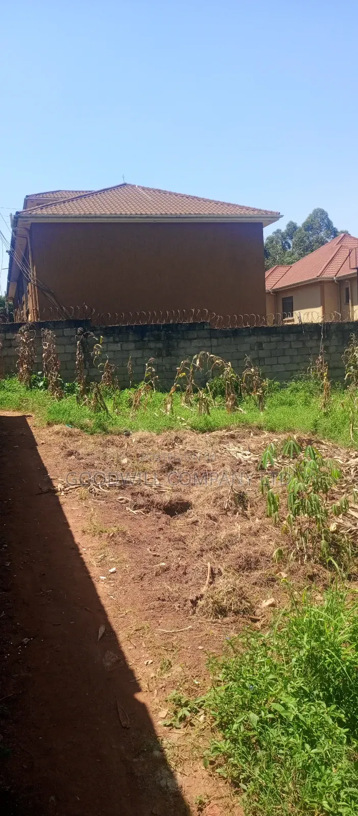 100*100 Plot of Land in Jinja Misindye Namugongo
