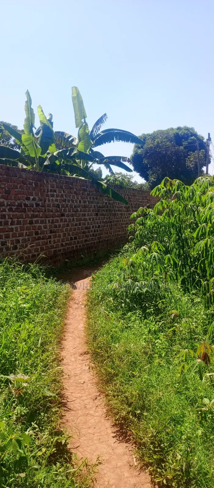 100*100 Plot of Land in Jinja Misindye Namugongo