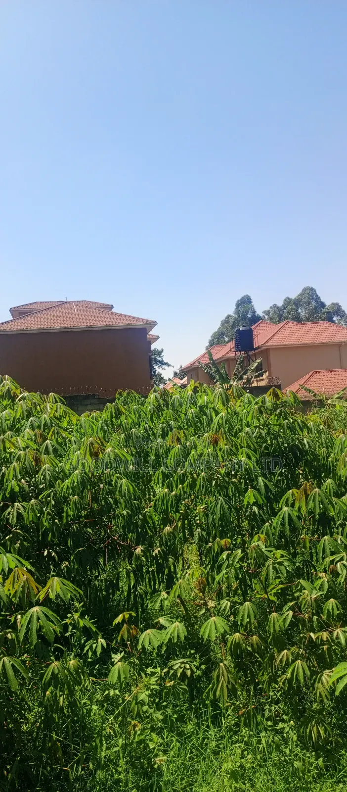 100*100 Plot of Land in Jinja Misindye Namugongo