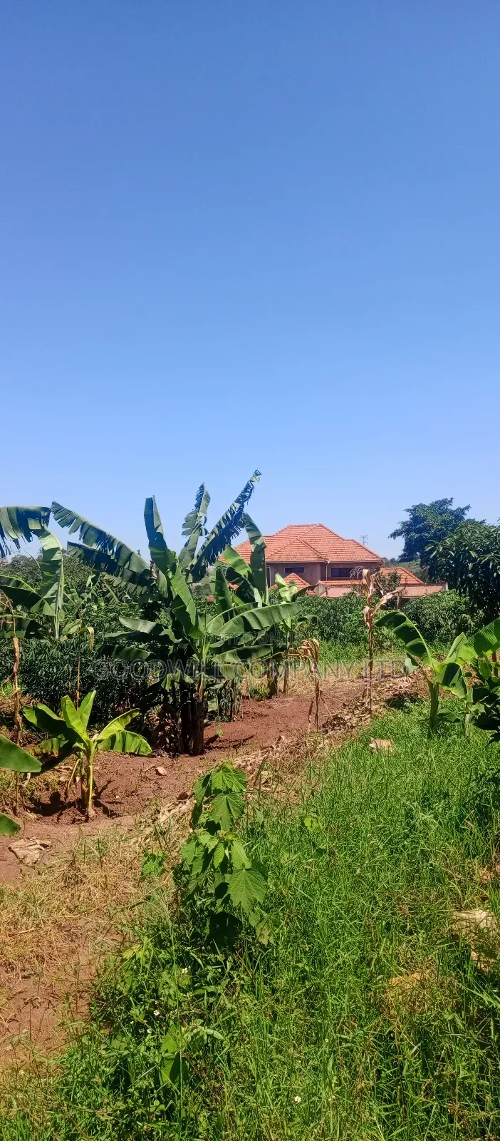 25 Decimals Plot of Land in Namugongo Jinja Misindye