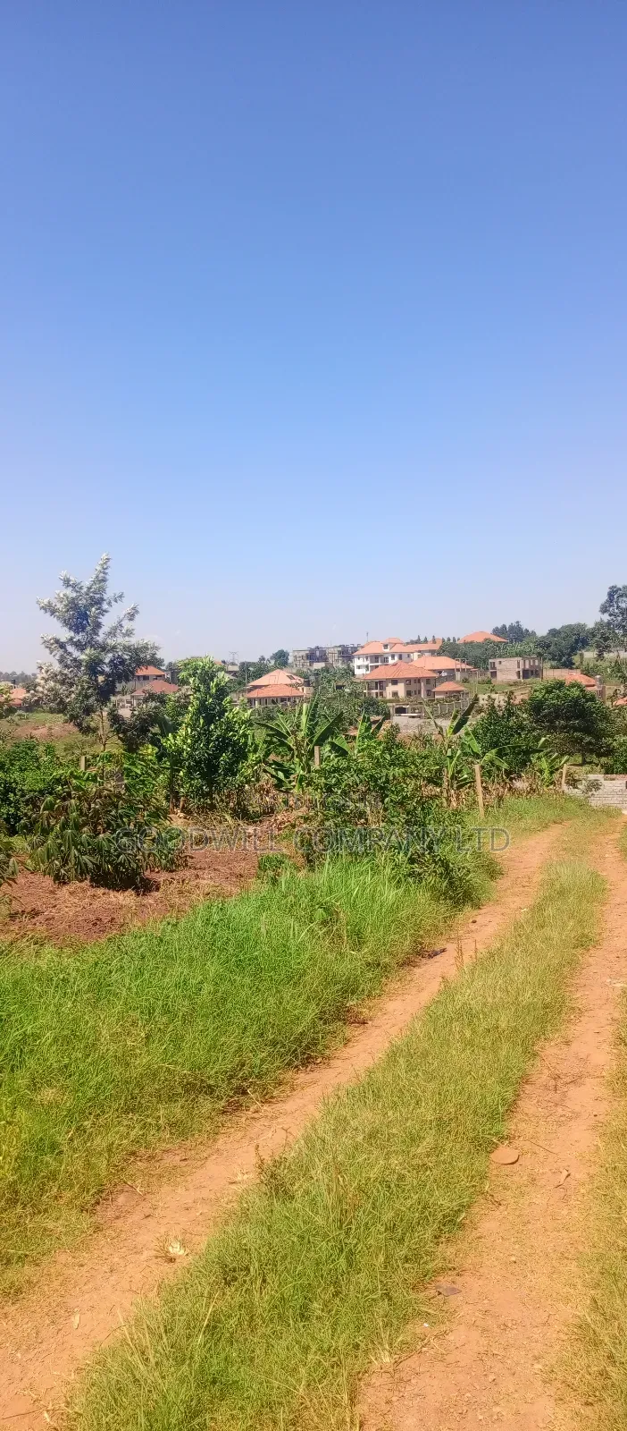 25 Decimals Plot of Land in Namugongo Jinja Misindye