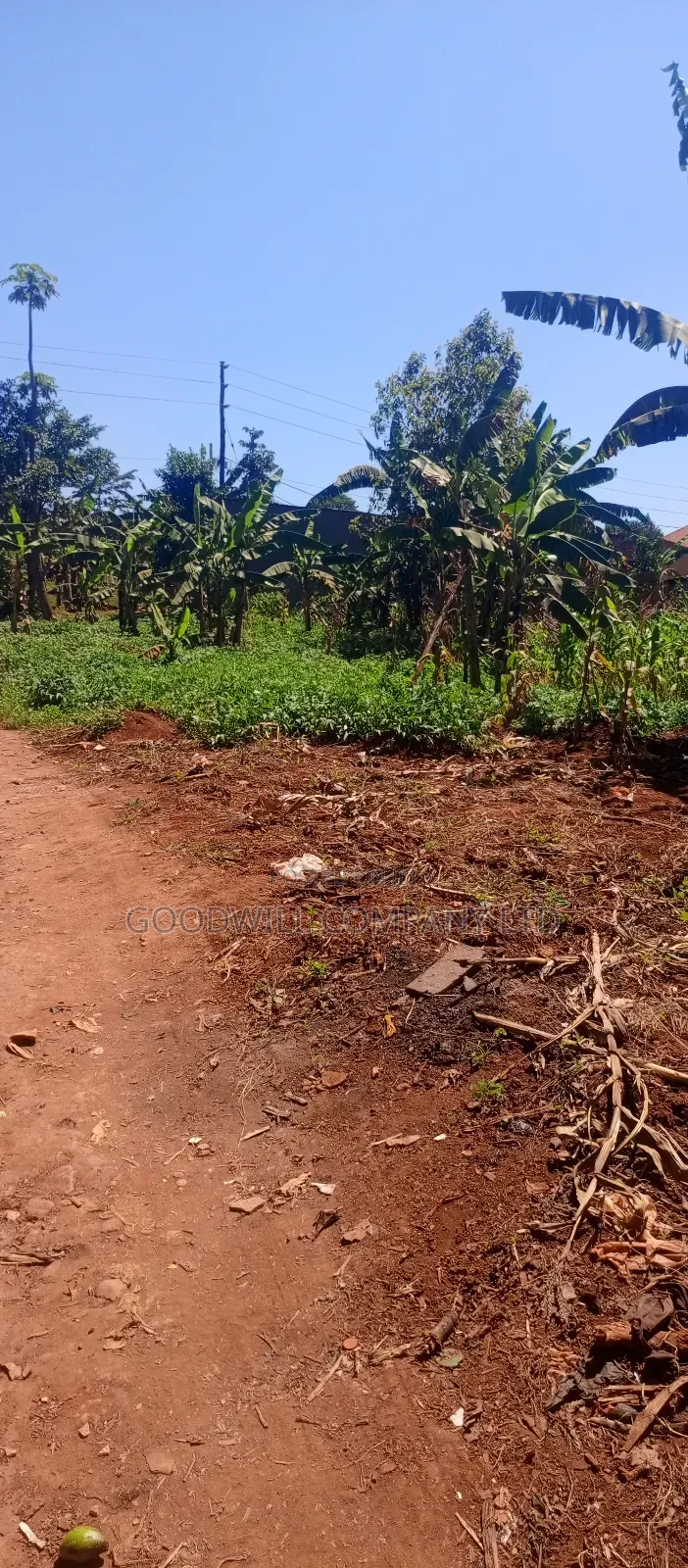 50 Decimals/ Half Acre of Land in Jinja Misindye Namugongo