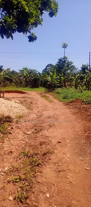 50 Decimals/ Half Acre of Land in Jinja Misindye Namugongo