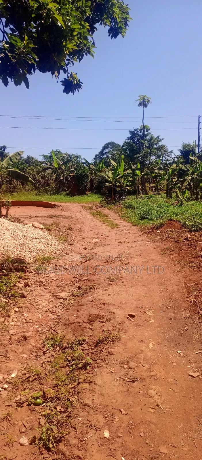 50 Decimals/ Half Acre of Land in Jinja Misindye Namugongo