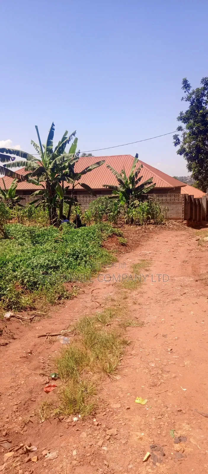 50 Decimals/ Half Acre of Land in Jinja Misindye Namugongo