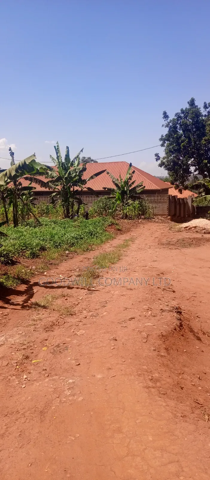 50 Decimals/ Half Acre of Land in Jinja Misindye Namugongo