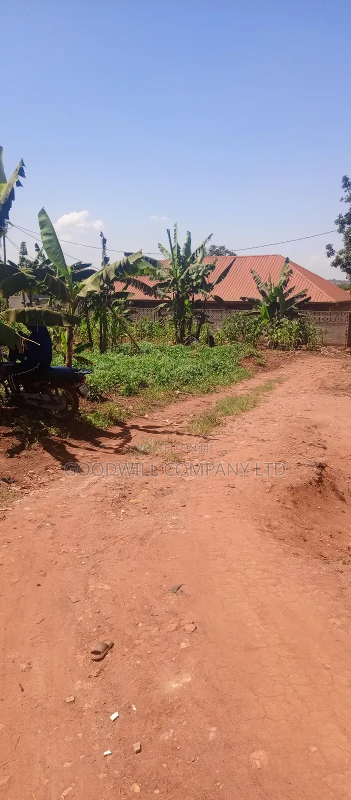 50 Decimals/ Half Acre of Land in Jinja Misindye Namugongo