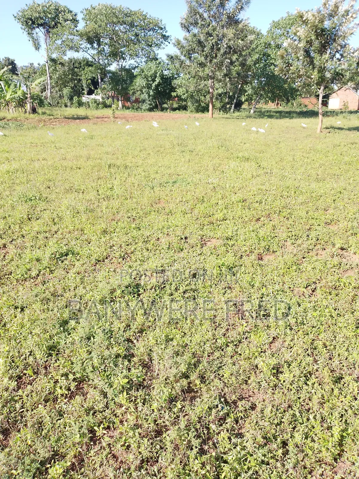 Land for Sale 2.6 Acres at 280m All in Mukono