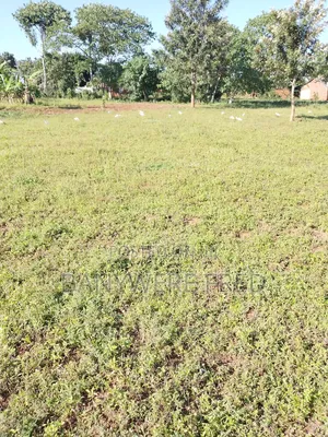 Land for Sale 2.6 Acres at 280m All in Mukono