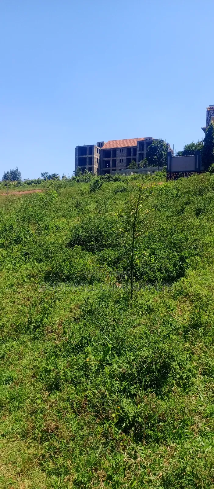 100 by 100 Plot of Land in Jinja Misindye on a Hill