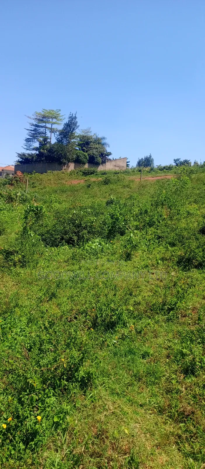 100 by 100 Plot of Land in Jinja Misindye on a Hill