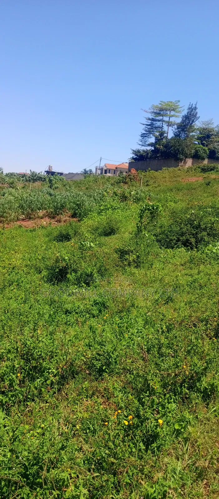 100 by 100 Plot of Land in Jinja Misindye on a Hill