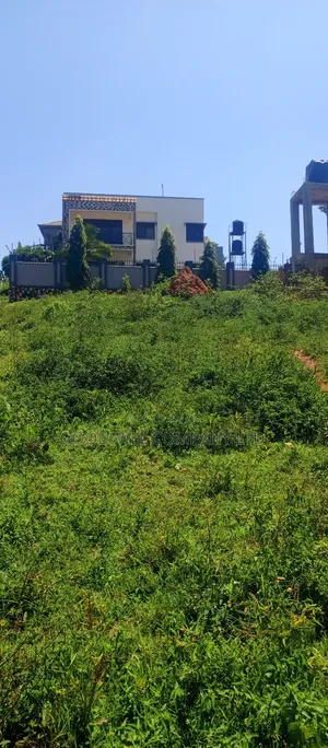 100 by 100 Plot of Land in Jinja Misindye on a Hill