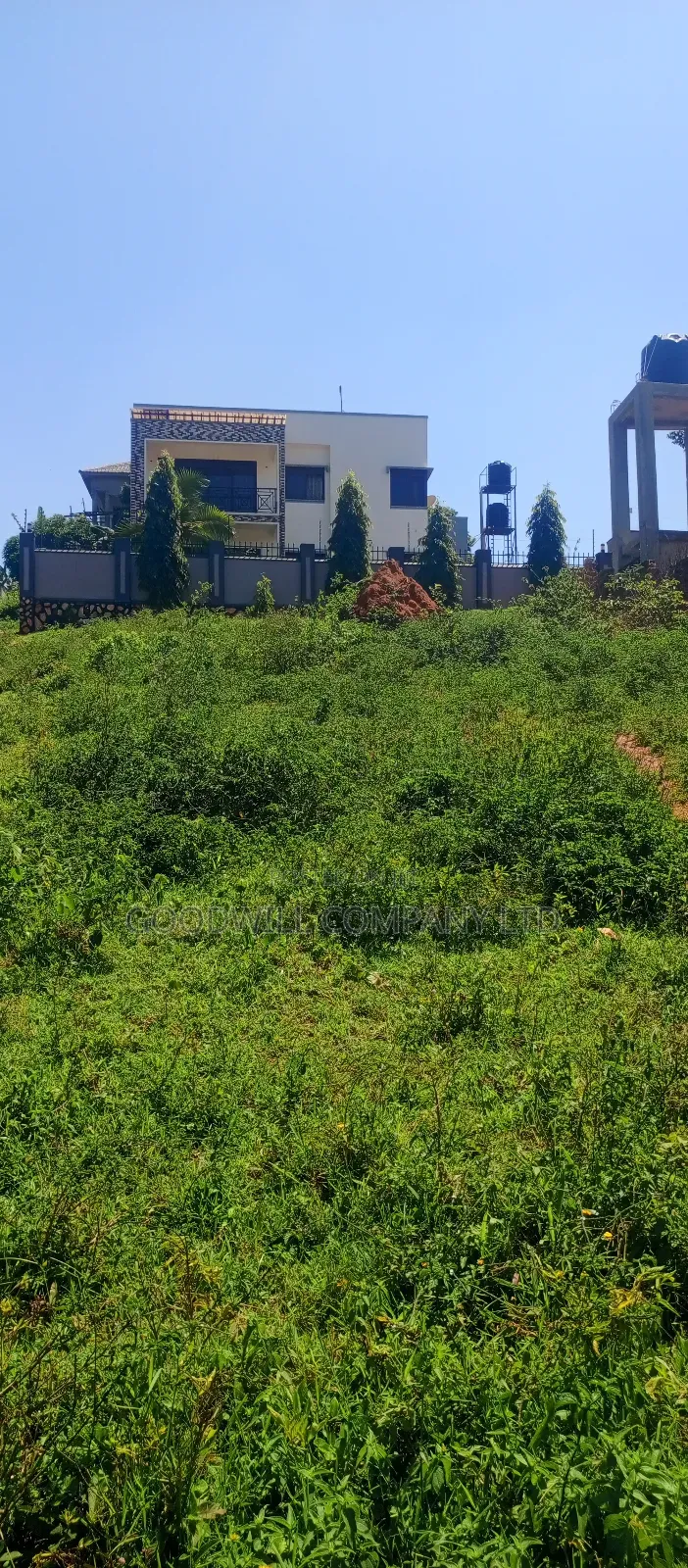 100 by 100 Plot of Land in Jinja Misindye on a Hill