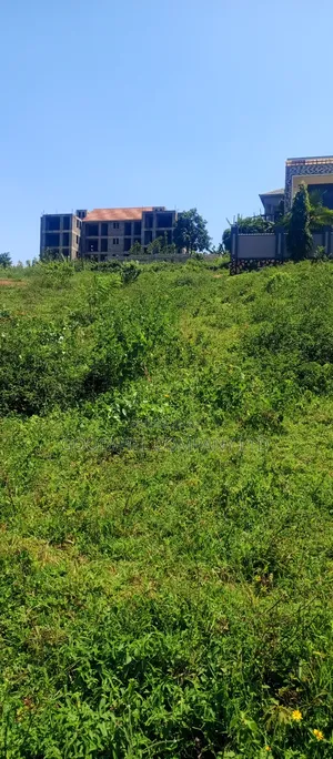 100 by 100 Plot of Land in Jinja Misindye on a Hill