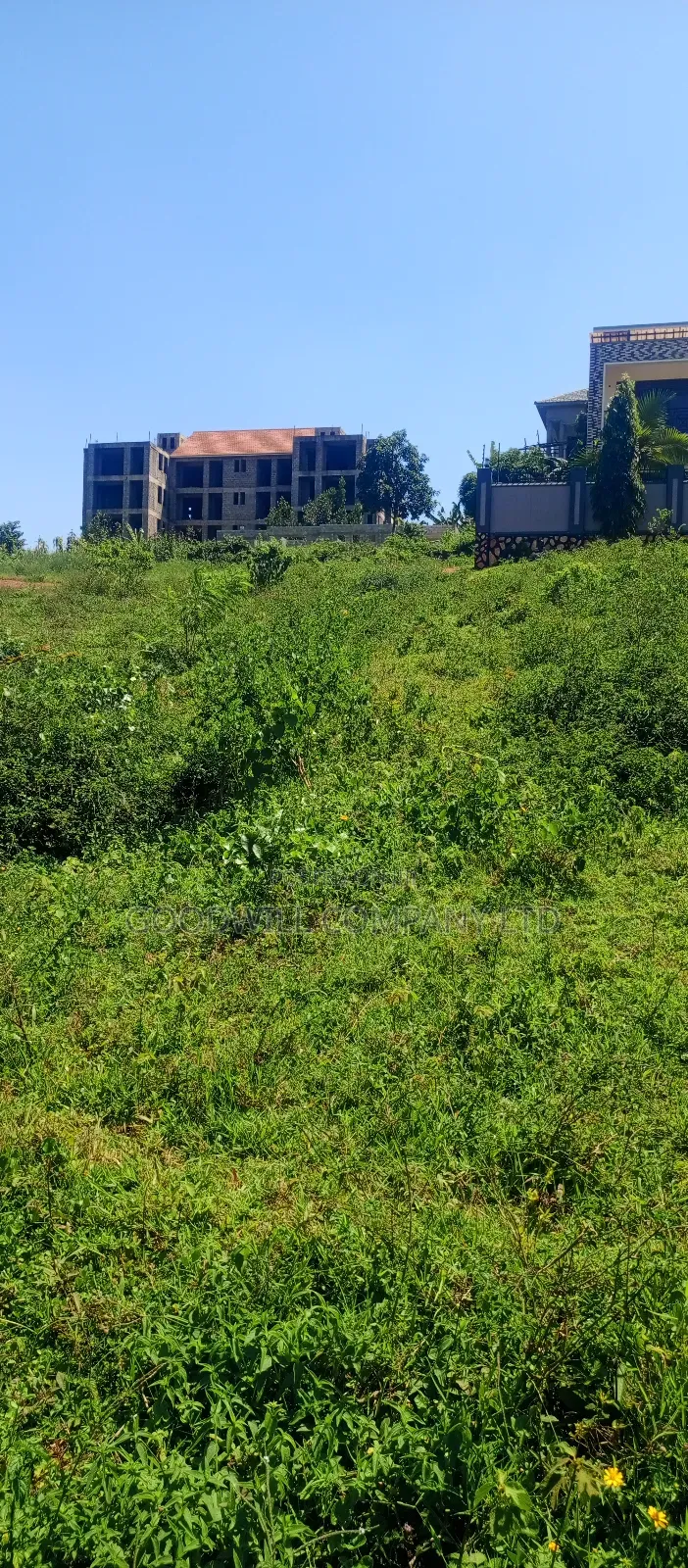 100 by 100 Plot of Land in Jinja Misindye on a Hill