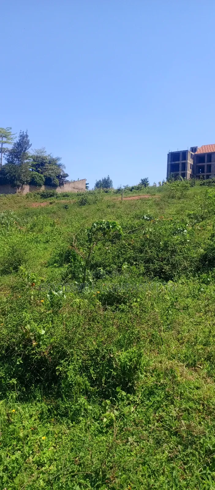 100 by 100 Plot of Land in Jinja Misindye on a Hill
