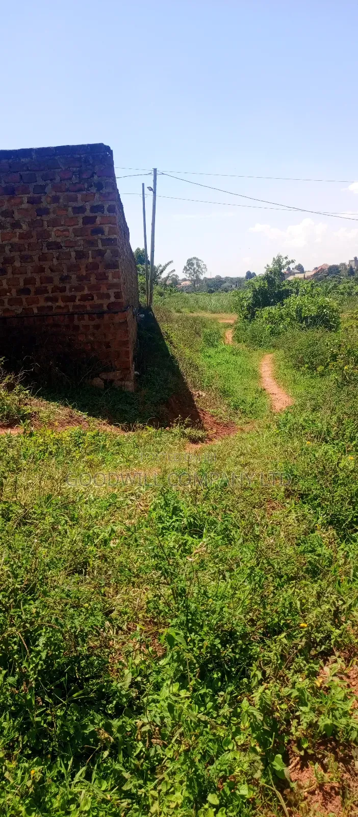 100 by 100 Plot of Land in Jinja Misindye on a Hill