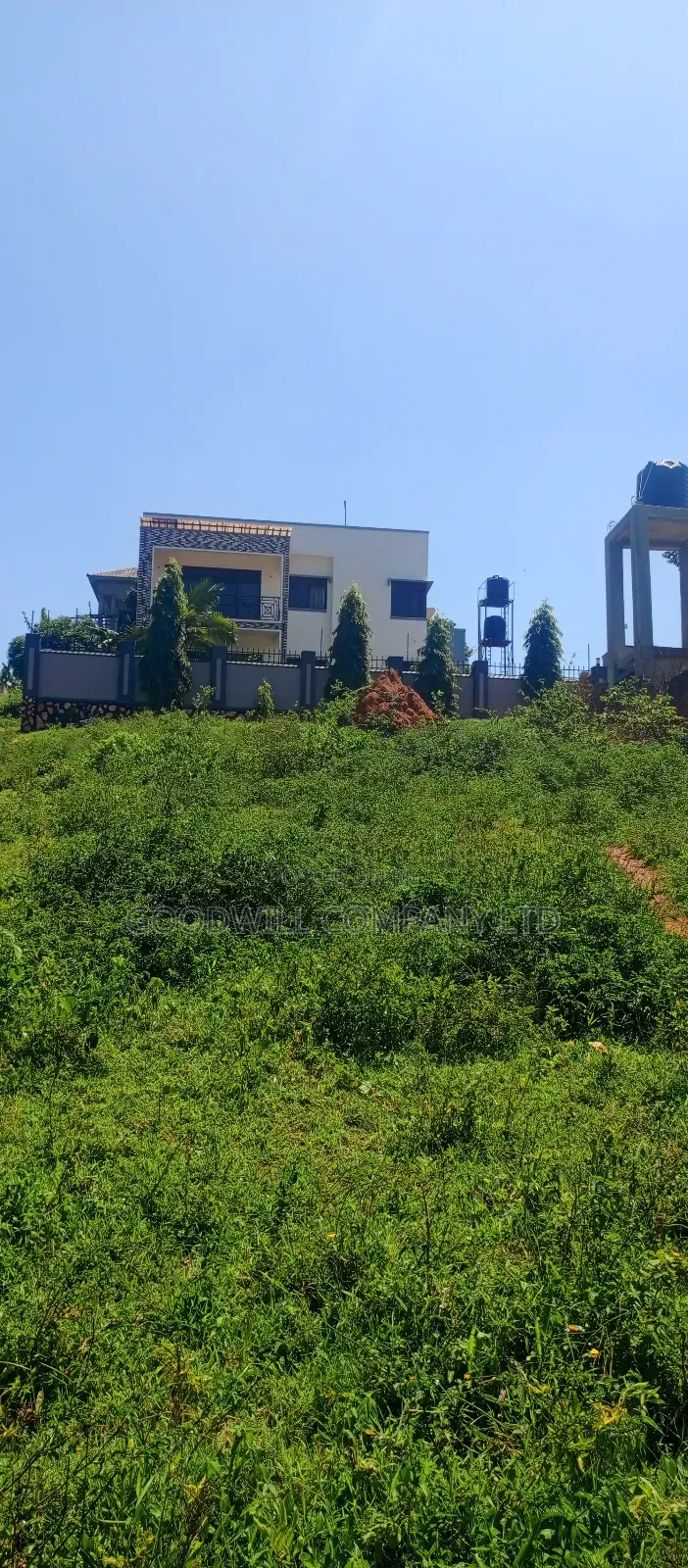 100 by 100 Plot of Land in Jinja Misindye on a Hill