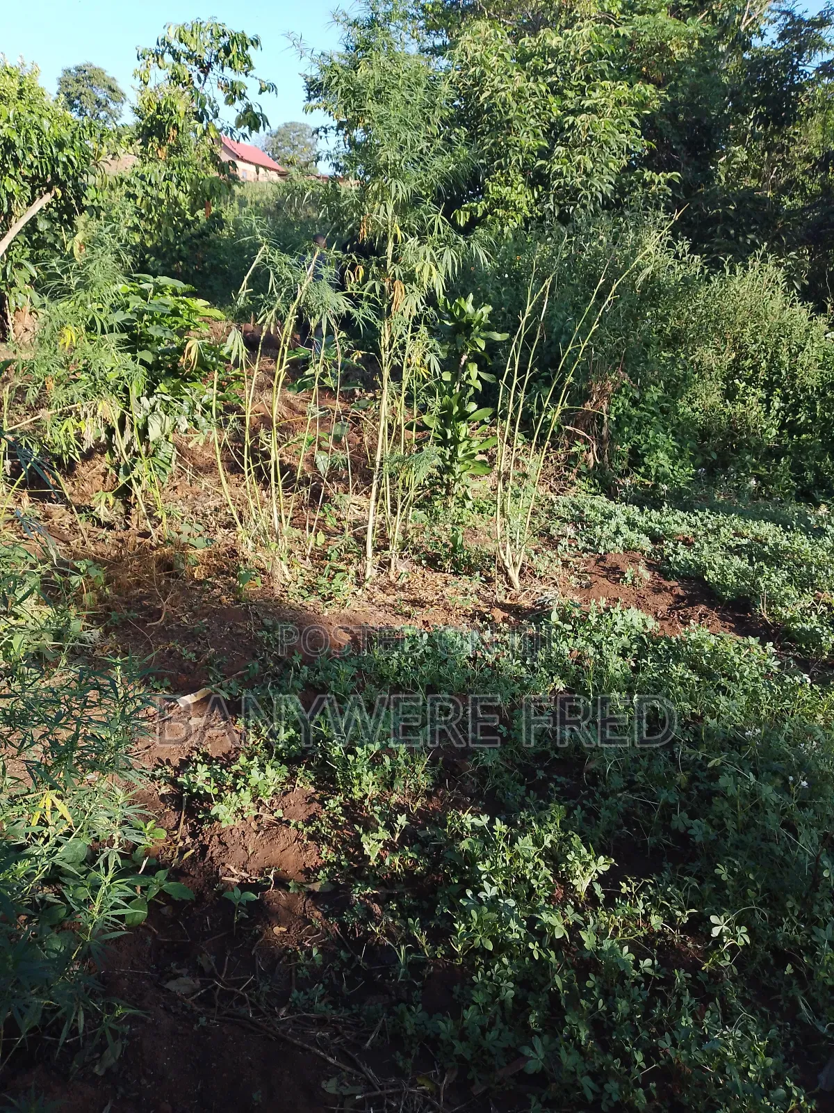 5 Acers of Land for Sale in Mukono Najja at 27m Ugx