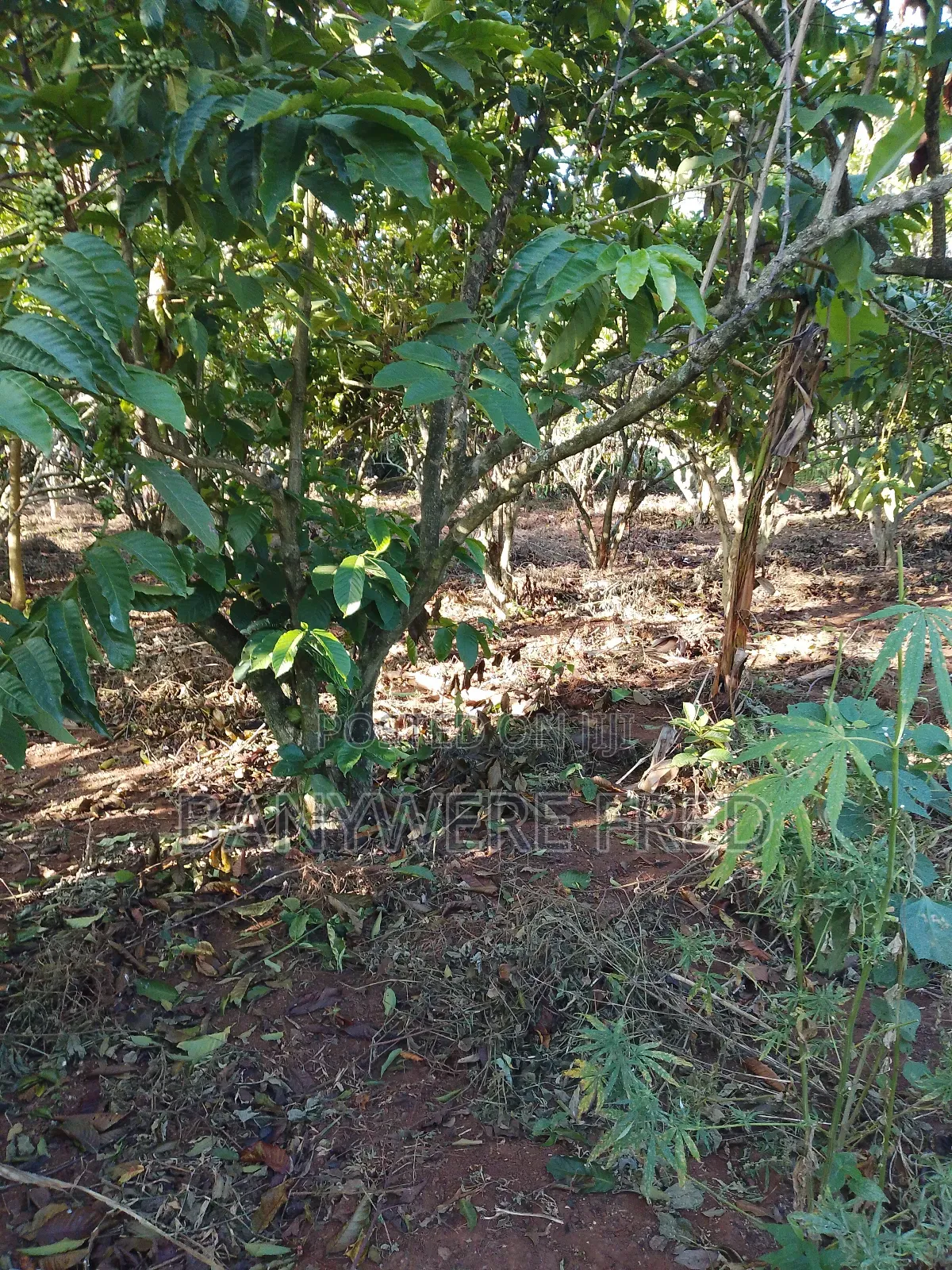 5 Acers of Land for Sale in Mukono Najja at 27m Ugx
