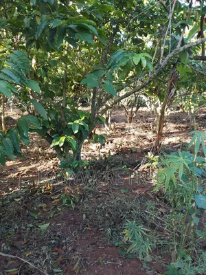 5 Acers of Land for Sale in Mukono Najja at 27m Ugx