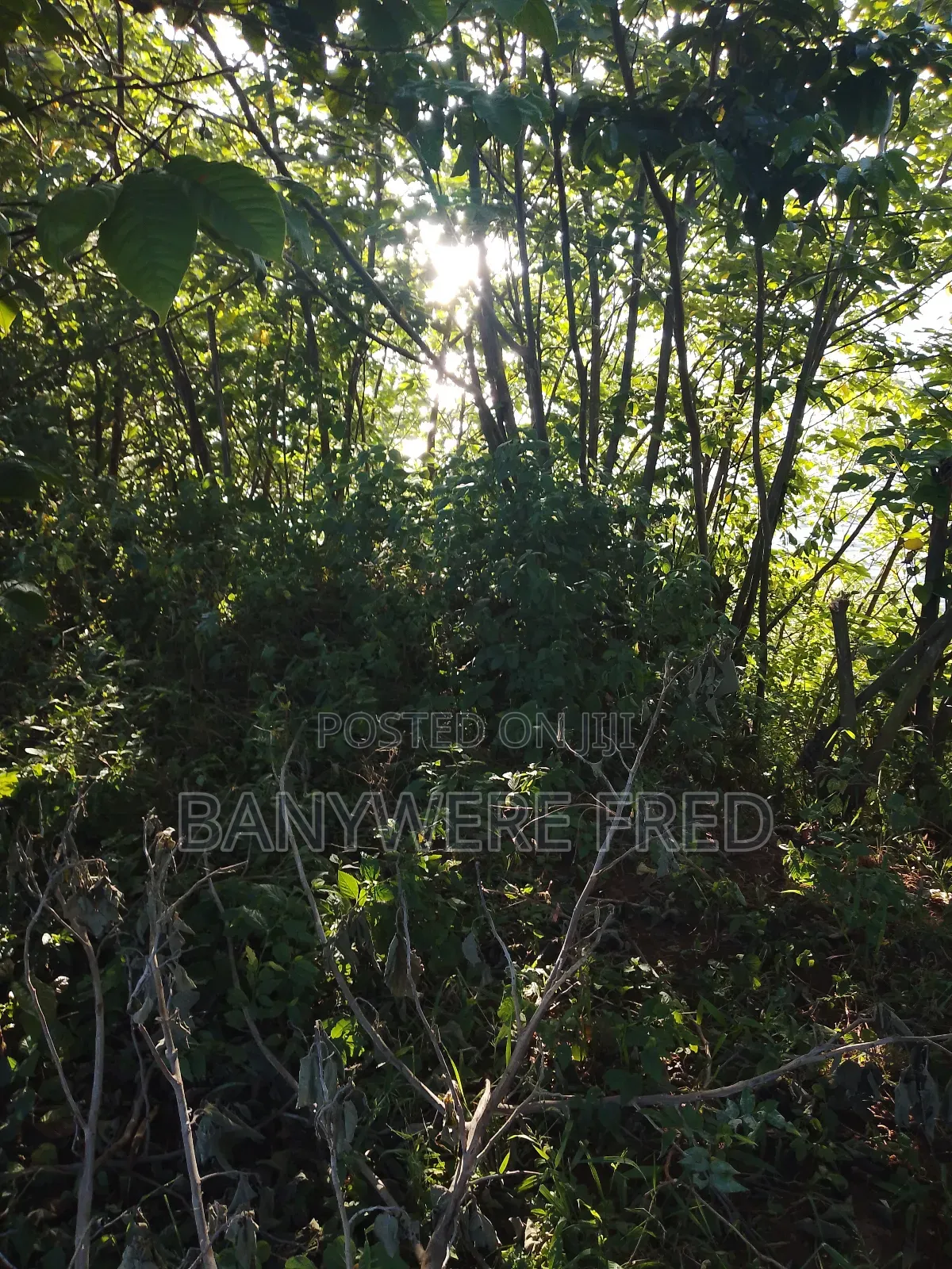 350 Acres of Land for Sale in Kakiri Kiti at 17m Ugx