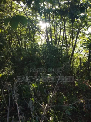 350 Acres of Land for Sale in Kakiri Kiti at 17m Ugx