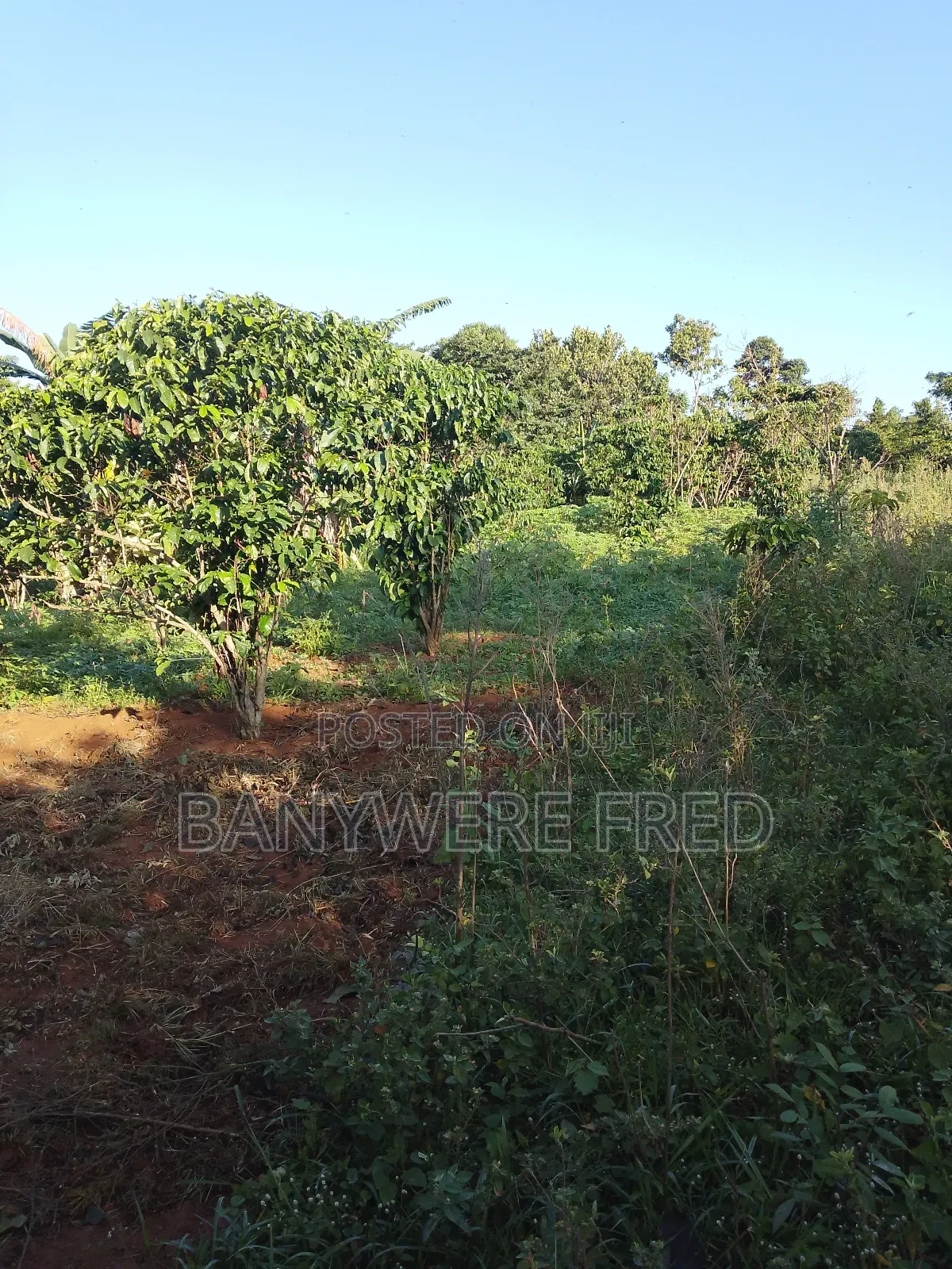 350 Acres of Land for Sale in Kakiri Kiti at 17m Ugx